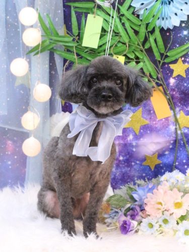 20250706ペコくん